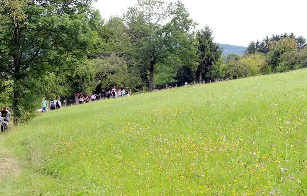 Kräuterwanderung Waldenbuch Raum Stuttgart - 8