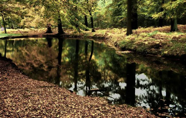 Fotokurs Dülmen - 5