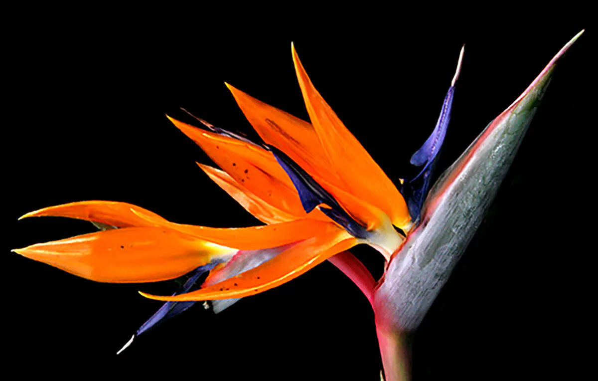 Fotokurs "Technik" Dortmund - 5