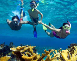 Tauchkurs Schnorchel in Graz