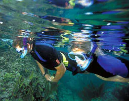 Tauchkurs Schnorchel in Graz - 5