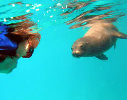 Tauchkurs Schnorchel in Graz - 6