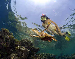 Tauchkurs Schnorchel in Graz - 7