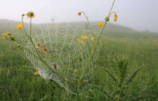 Sonnenaufgangstour mit Bergfrühstück Reit im Winkl - 5