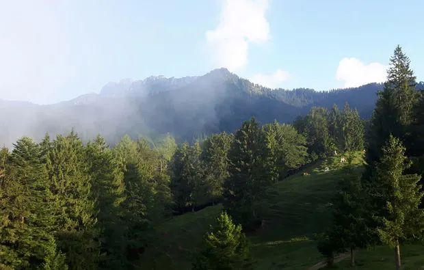 Sonnenaufgangstour mit Bergfrühstück Reit im Winkl - 6