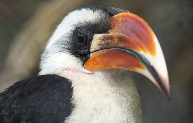Fotokurs "Tierpark" Hamburg - 6