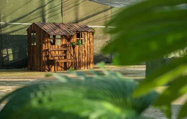 Paintball Mechernich - 6