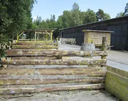 Paintball spielen Tautenhain - 5