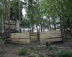 Paintball spielen Tautenhain - 11