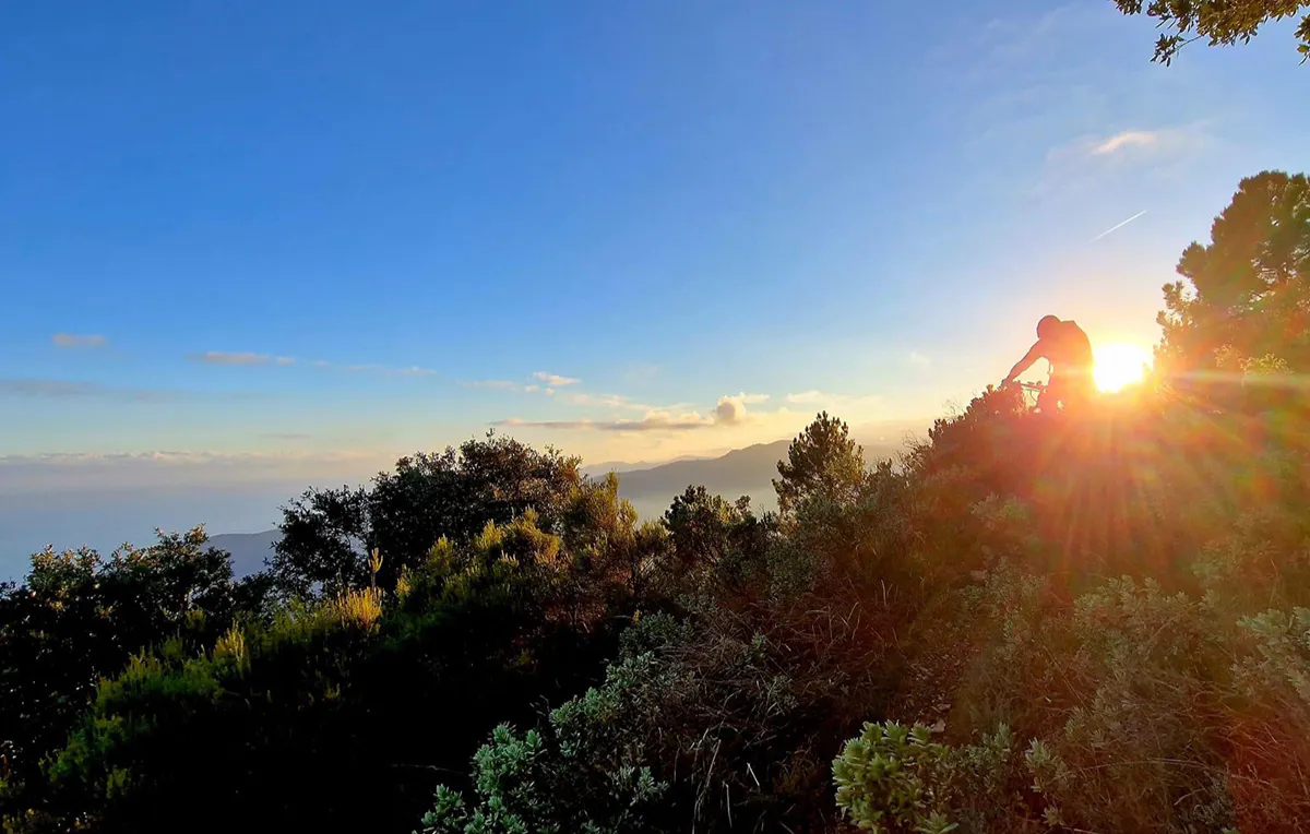Mountainbikekurs Fortgeschrittene Freiburg - 6