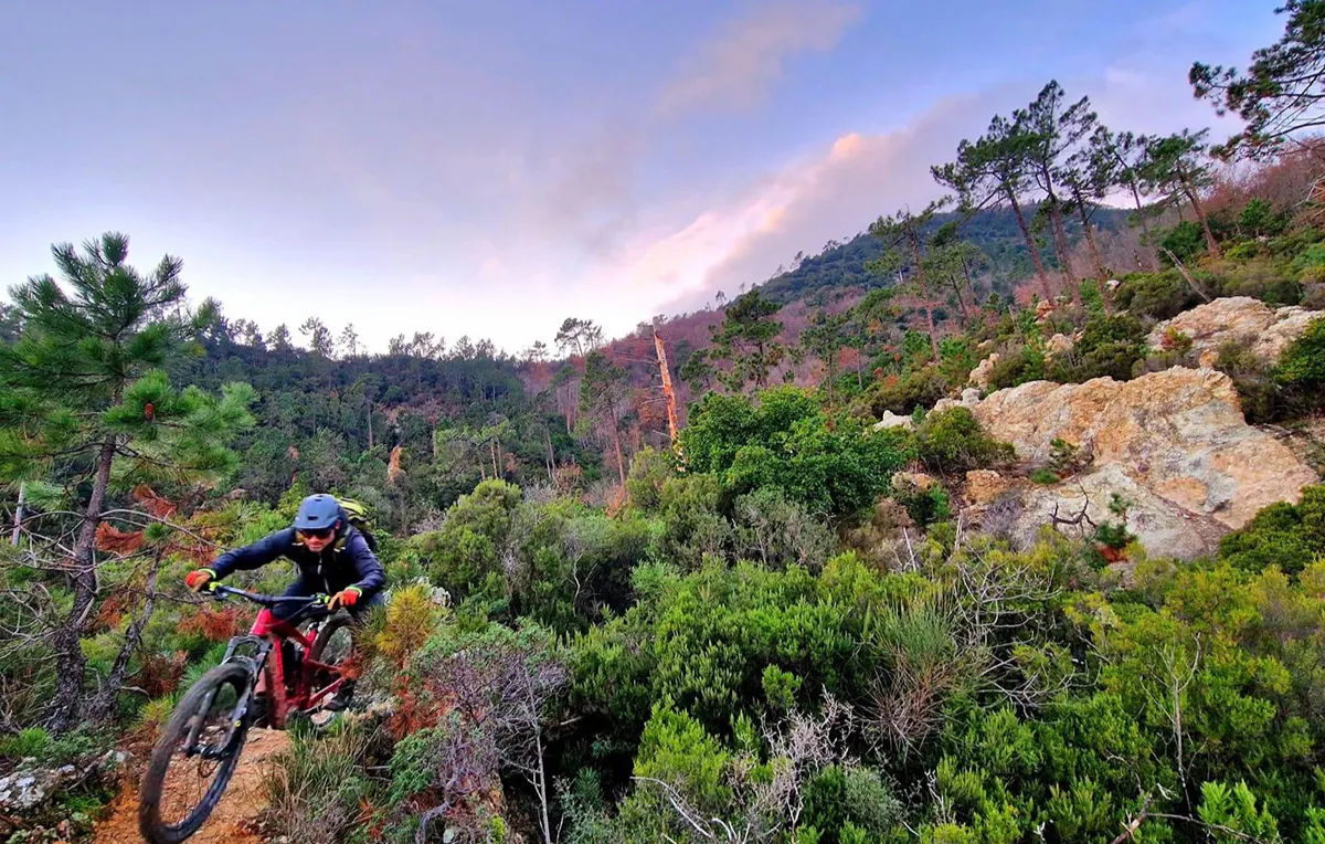 Mountainbikekurs Fortgeschrittene Freiburg - 9