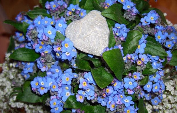 Floristikkurs Leonberg (2 Tage) - 5