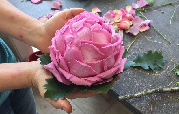 Floristikkurs Leonberg (2 Tage) - 9