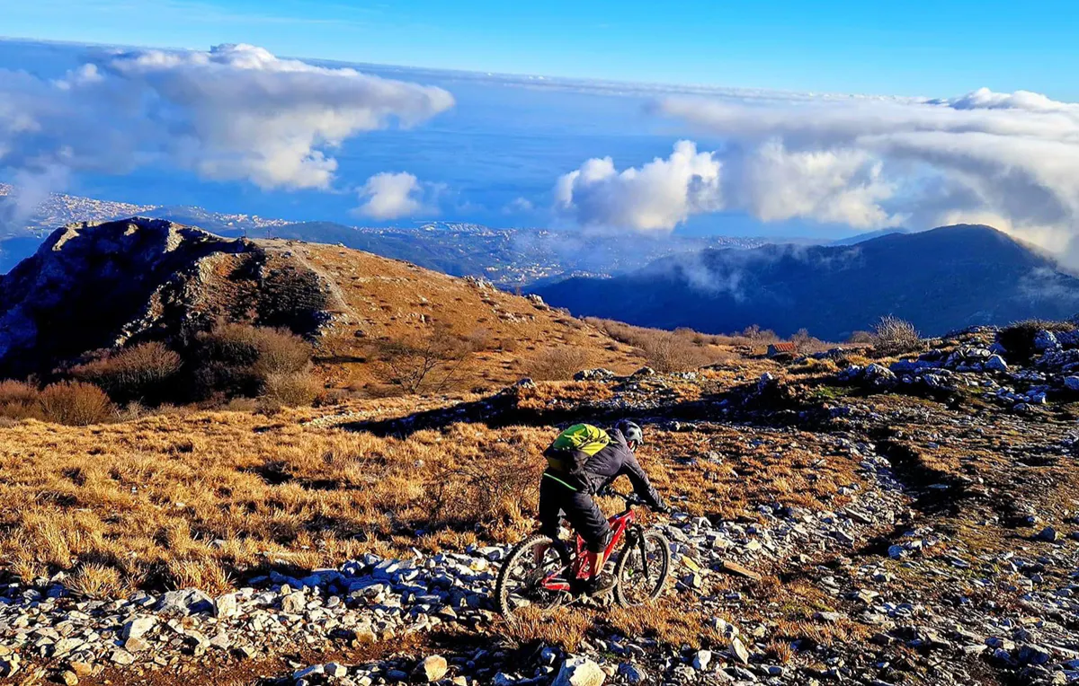 Mountainbike-Grundkurs Freiburg - 5
