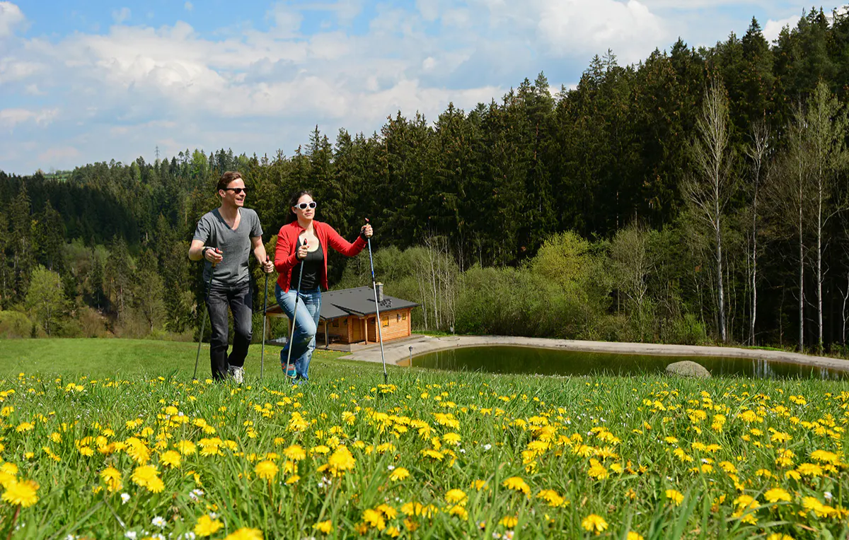 Wellnesshotel Zwettl für 2 (1 Nacht) - 8