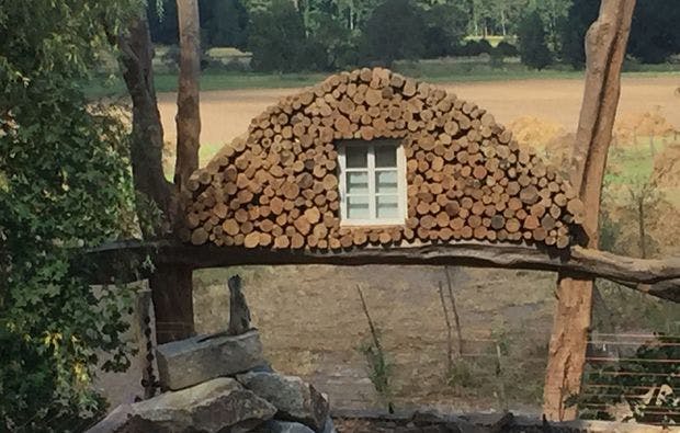 Freizeitpark Neißeaue Kulturinsel Einsiedel für 4 - 6