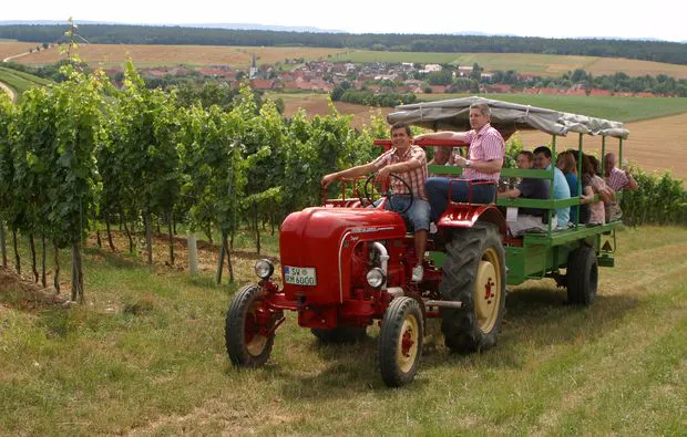 Weinseminar in Zeilitzheim (Rundfahrt & Verkostung) - 6