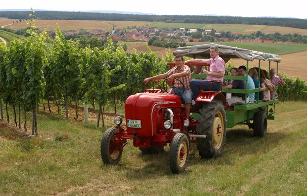 Weinseminar in Zeilitzheim (Rundfahrt & Verkostung) - 6