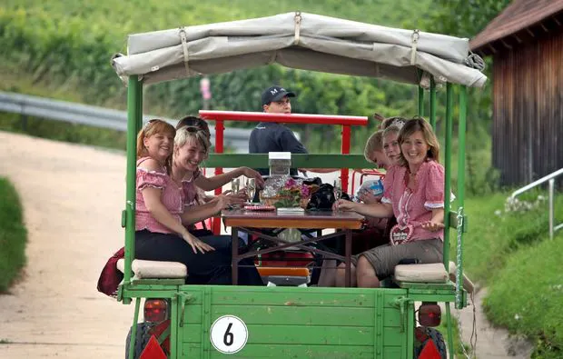 Weinseminar in Zeilitzheim (Rundfahrt & Verkostung) - 7