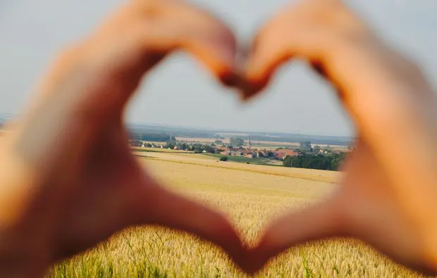 Weinseminar in Zeilitzheim (Rundfahrt & Verkostung) - 8