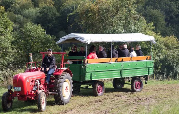 Weinseminar in Zeilitzheim (Rundfahrt & Verkostung) - 9