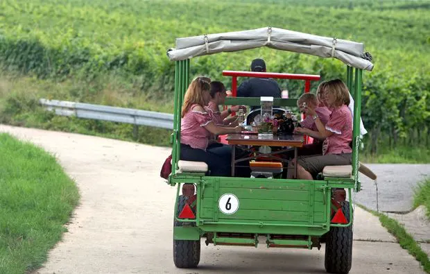 Weinseminar in Zeilitzheim (Rundfahrt & Verkostung) - 10