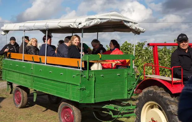 Weinseminar in Zeilitzheim (Rundfahrt & Verkostung) - 11