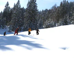 Schneeschuhwanderung Immenstadt - 8