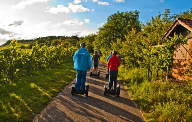 Segway-Tour Fellbacher Weinberge - 1