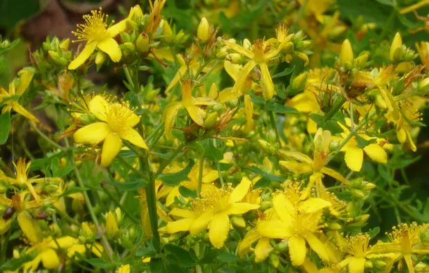 Kulinarische Bergwanderung in Reit im Winkl - 6