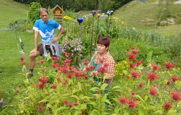 Kulinarische Bergwanderung in Reit im Winkl - 7