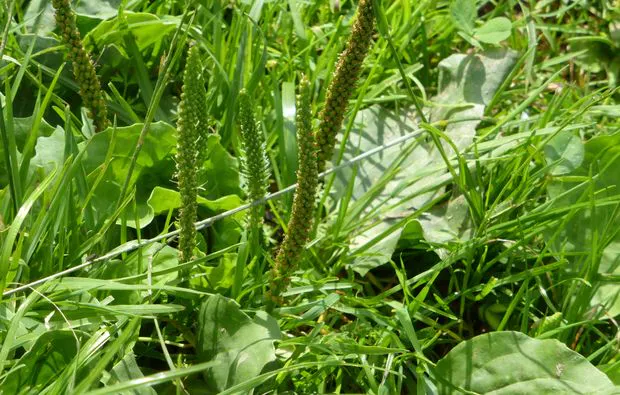 Kulinarische Bergwanderung in Reit im Winkl - 8