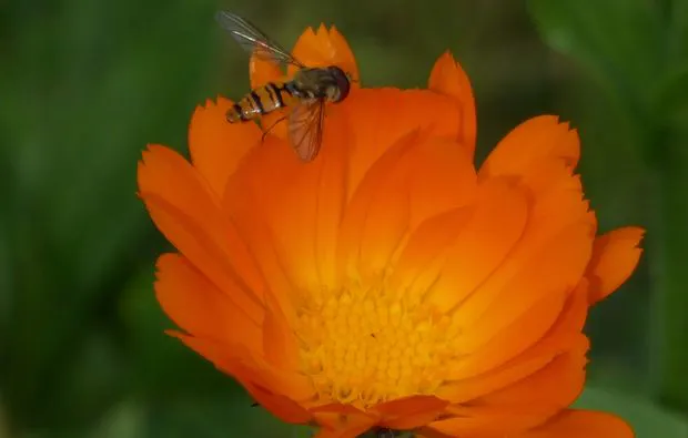 Kulinarische Bergwanderung in Reit im Winkl - 11