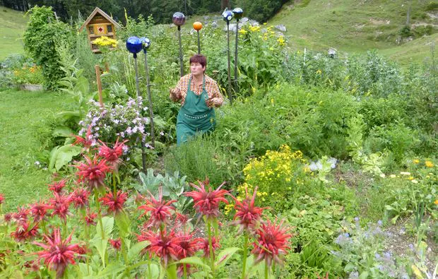 Kulinarische Bergwanderung in Reit im Winkl - 12