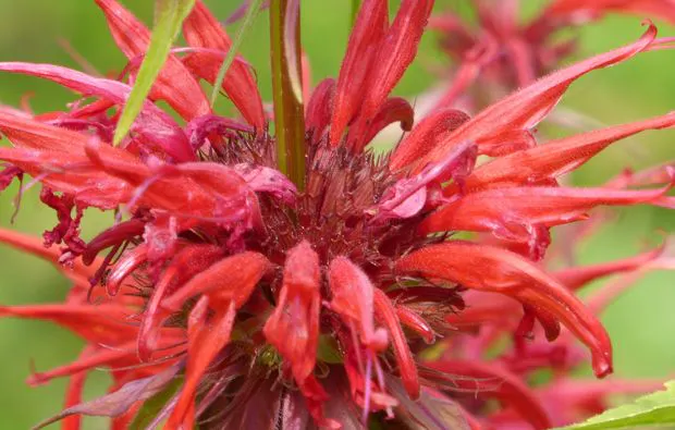 Kulinarische Bergwanderung in Reit im Winkl - 14