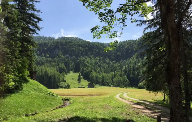 Kulinarische Bergwanderung in Reit im Winkl - 16