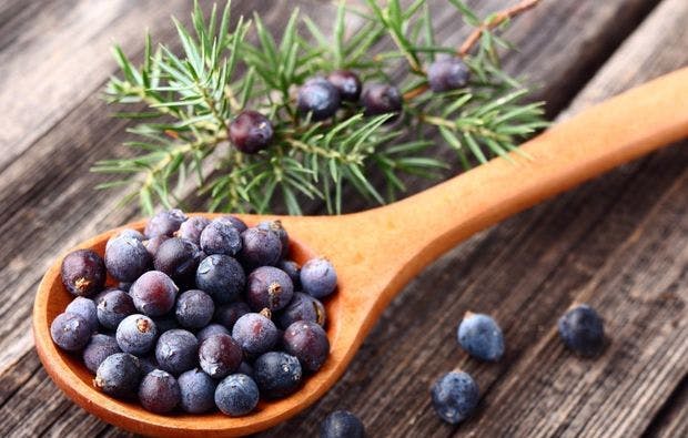 Gin Degustation Zürich - 5