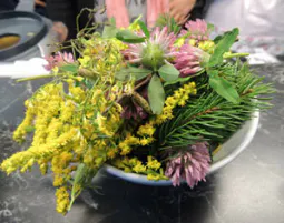 Kräuterwanderung Wien - 5