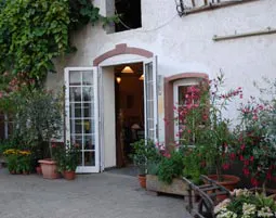 Wildkräuterwanderung durch die Weinberge Worms - 8