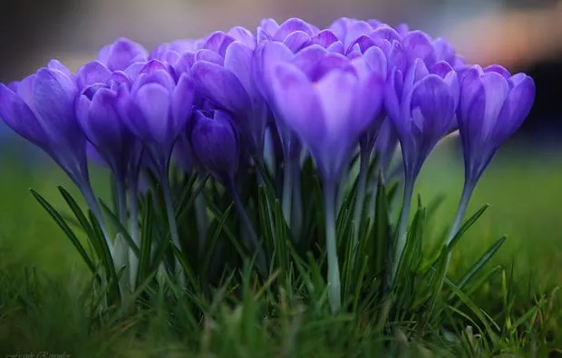 Fotokurs Karlsruhe - 5