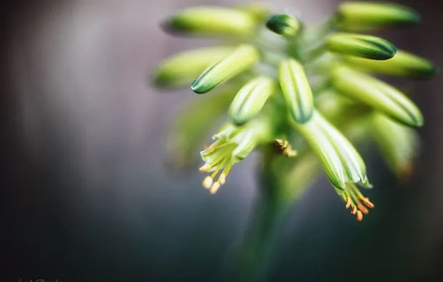 Fotokurs Karlsruhe - 6