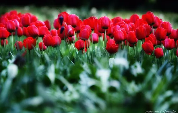 Fotokurs Karlsruhe - 7