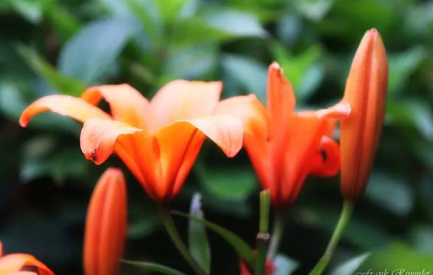 Fotokurs Karlsruhe - 8