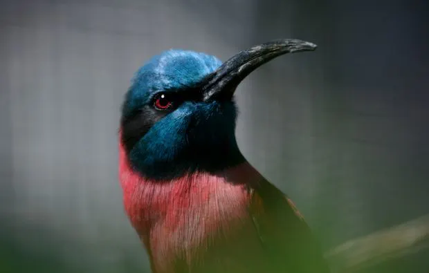 Fotokurs "Zoologischer Garten" Köln - 6