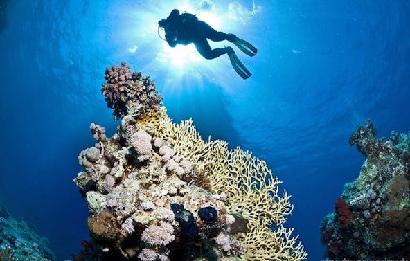 Fotokurs "Unterwasser" Taufkirchen