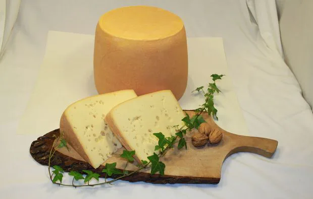 Käse Selber Machen in Kuchl - 1