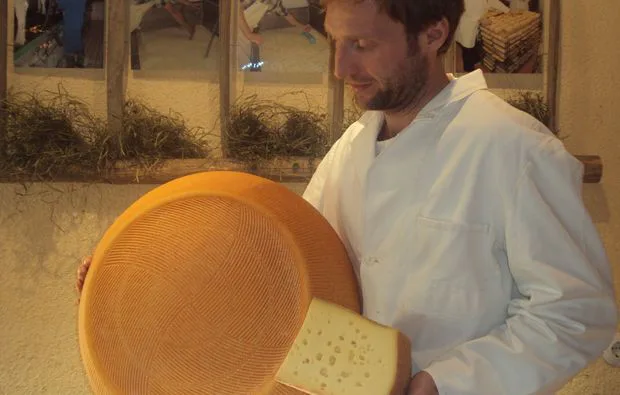 Käse Selber Machen in Kuchl - 2