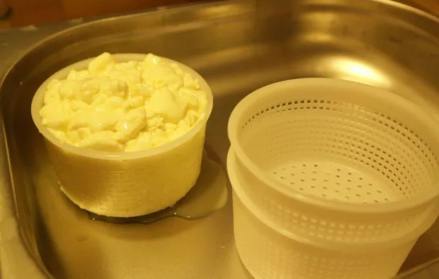 Käse Selber Machen in Kuchl - 3