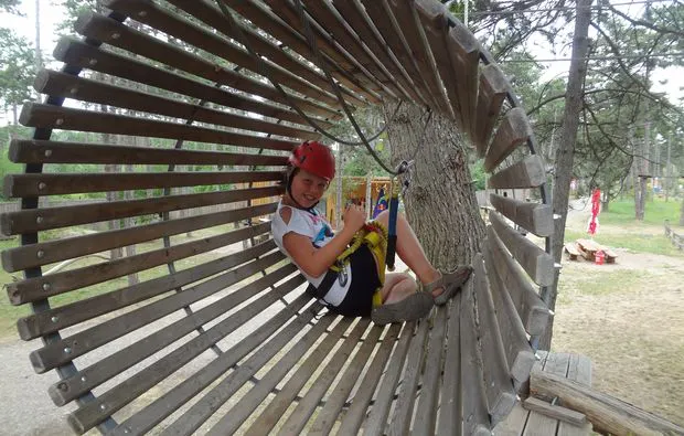 3D Bogenschießen und Waldklettergarten Gänserndorf - 9