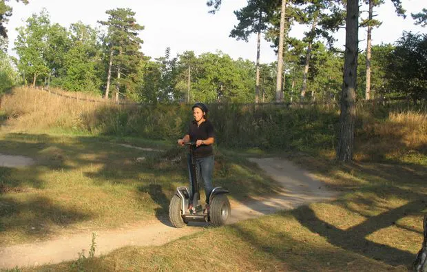 3D Bogenschießen und Waldklettergarten Gänserndorf - 17